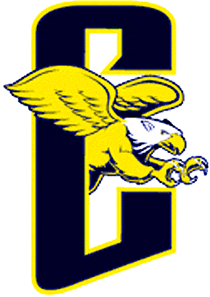 Canisius Golden Griffins 1999-2005 Alternate Logo diy fabric transfer